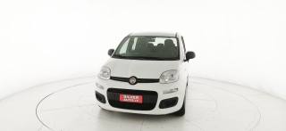 FIAT Panda usata 24