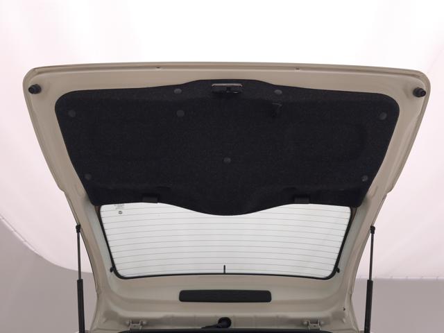 FIAT Panda usata, con Hill holder