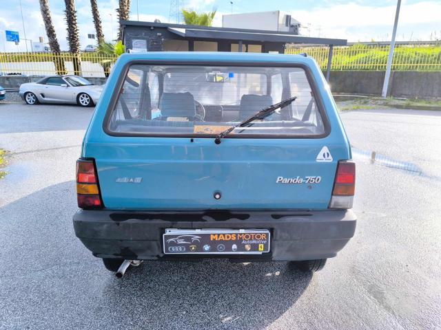 FIAT Panda usata 3