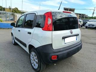 FIAT Panda usata 5