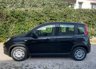 FIAT Panda usata, con Controllo trazione