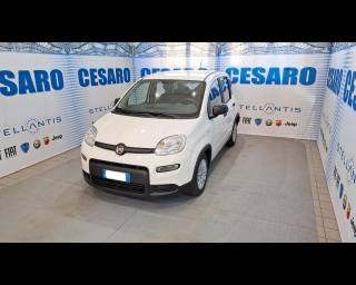 FIAT New Panda usata, con Airbag laterali