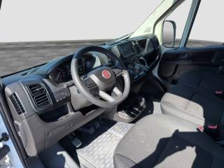 FIAT Ducato usata 8
