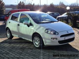 FIAT Punto usata, con Chiusura centralizzata