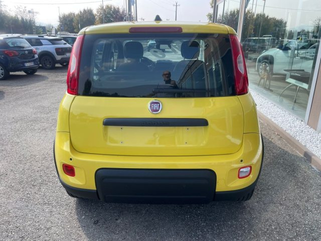 FIAT Panda usata, con Cruise Control