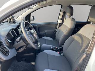 FIAT Panda usata, con Immobilizzatore elettronico