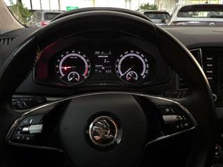 SKODA Karoq usata, con Fendinebbia