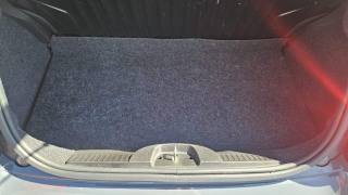 FIAT 500 usata, con Tetto panorama