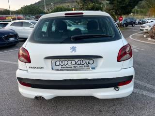 PEUGEOT 206 usata, con Chiusura centralizzata