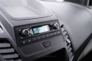 FORD Transit Connect usata, con Vivavoce
