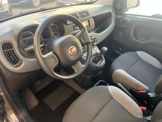 FIAT Panda usata, con Immobilizzatore elettronico
