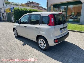 FIAT Panda usata, con Chiusura centralizzata