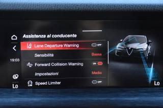 ALFA ROMEO Stelvio usata, con Bracciolo