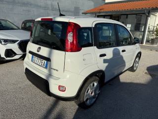 FIAT Panda usata, con Climatizzatore