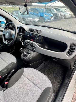 FIAT Panda usata, con Volante multifunzione