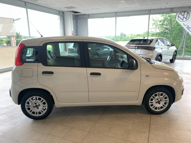 FIAT Panda usata, con Climatizzatore