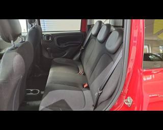 FIAT New Panda usata 23