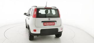 FIAT Panda usata 37