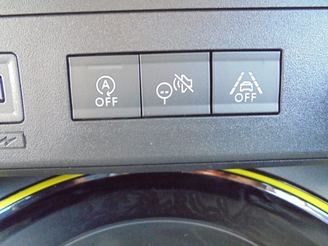 FIAT Grande Panda usata 40