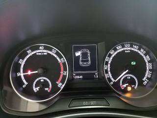 SKODA Fabia usata, con Volante in pelle