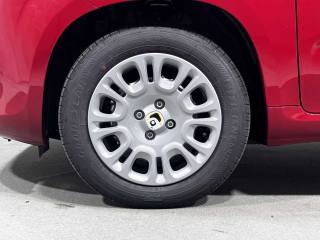 FIAT Panda usata, con Immobilizzatore elettronico