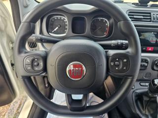FIAT Panda Cross usata, con Volante multifunzione