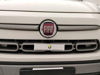 FIAT 500 usata 51