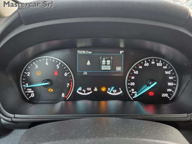 FORD EcoSport usata, con Vetri oscurati