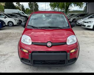 FIAT Panda usata, con Airbag