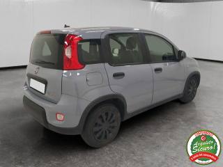 FIAT Panda usata, con Antifurto