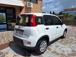 FIAT Panda usata, con Autoradio