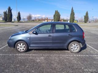 VOLKSWAGEN Polo usata, con Alzacristalli elettrici