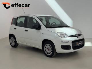 FIAT Panda usata, con Airbag Passeggero