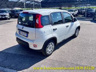 FIAT Panda usata, con Airbag Passeggero