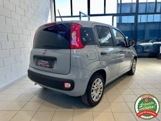 FIAT Panda usata, con Alzacristalli elettrici