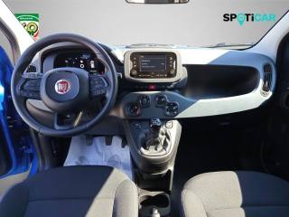 FIAT Panda usata, con Servosterzo