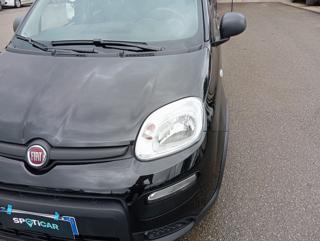 FIAT Panda usata, con Chiusura centralizzata telecomandata