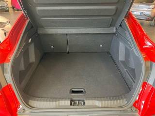 RENAULT Arkana usata, con Hill holder