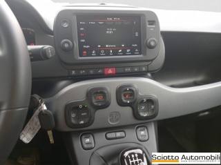 FIAT Panda usata 15