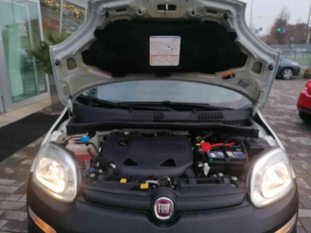 FIAT Panda usata 18