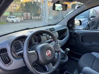 FIAT Panda usata, con Controllo trazione