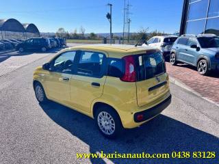 FIAT Panda usata, con Alzacristalli elettrici