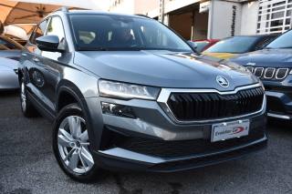 SKODA Karoq usata, con Airbag