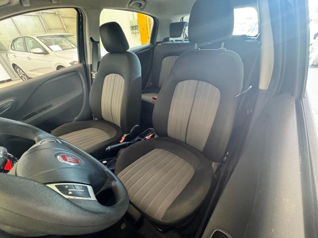FIAT Punto usata 12