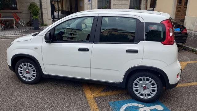 FIAT Panda usata, con Climatizzatore