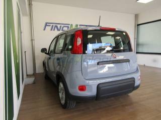 FIAT Panda usata, con Servosterzo