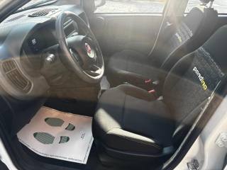 FIAT Panda usata, con Controllo trazione