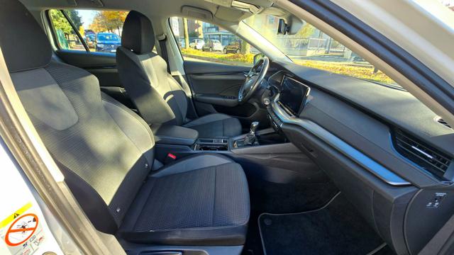 SKODA Octavia usata, con Fendinebbia