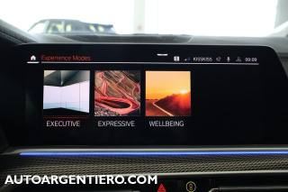 BMW X6 usata, con Sound system