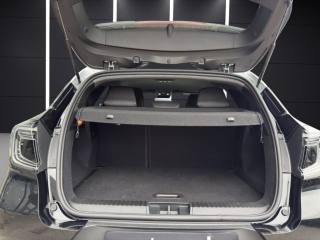 RENAULT Captur usata, con Bracciolo